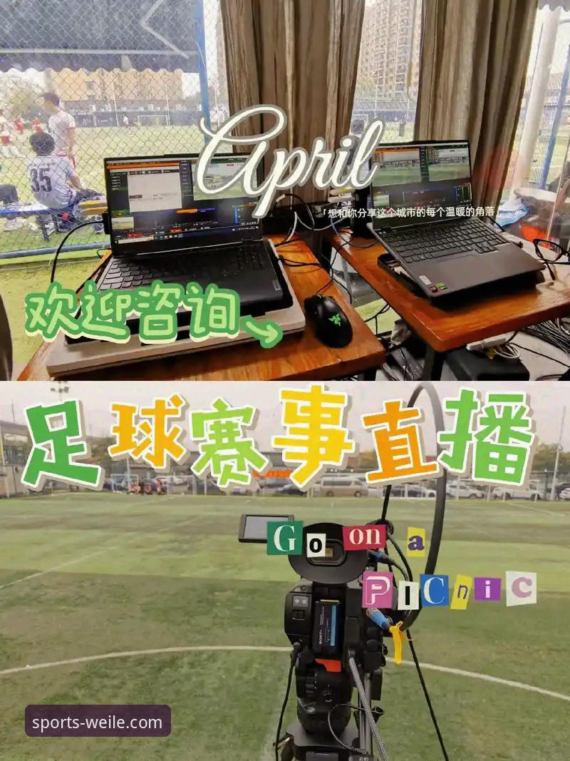 微乐官方网站入口 微乐官网平台入口完整指南:从赛事直播到专业分析的实用手册